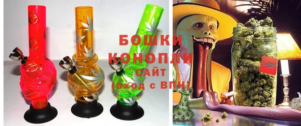 2c-b Горнозаводск