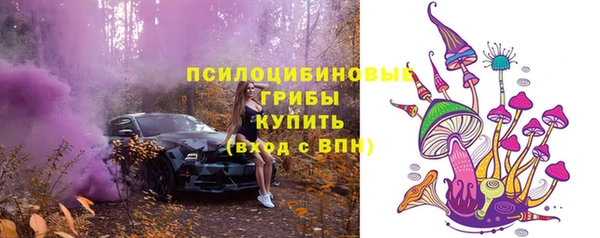 2c-b Горнозаводск