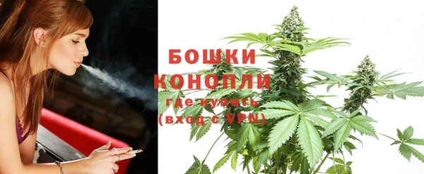 дурь Горняк