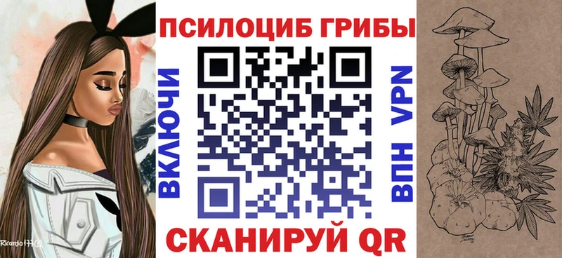 купить наркоту  Курган  Галлюциногенные грибы ЛСД 